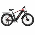 DUOTTS F26 Electric Bike